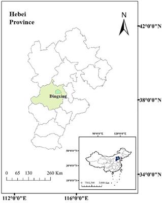 Dynamic monitoring of maize grain quality based on remote sensing data